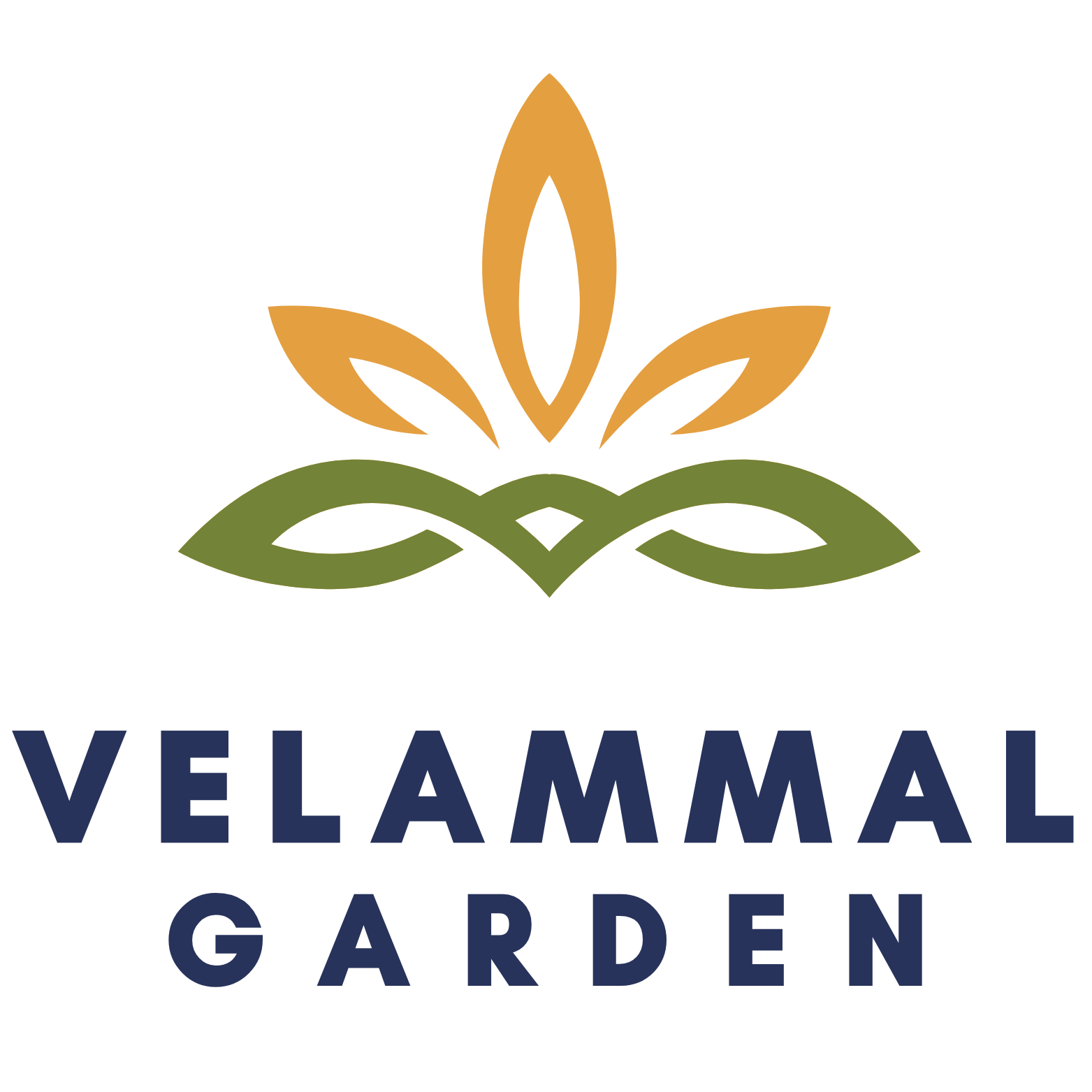 Developer Logo